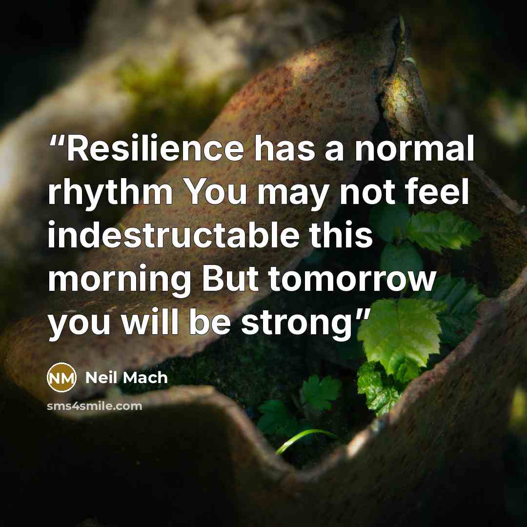 “Resilience has a normal rhythm You may not feel indestructable this morning But tomorrow you will be strong” quote by Neil Mach