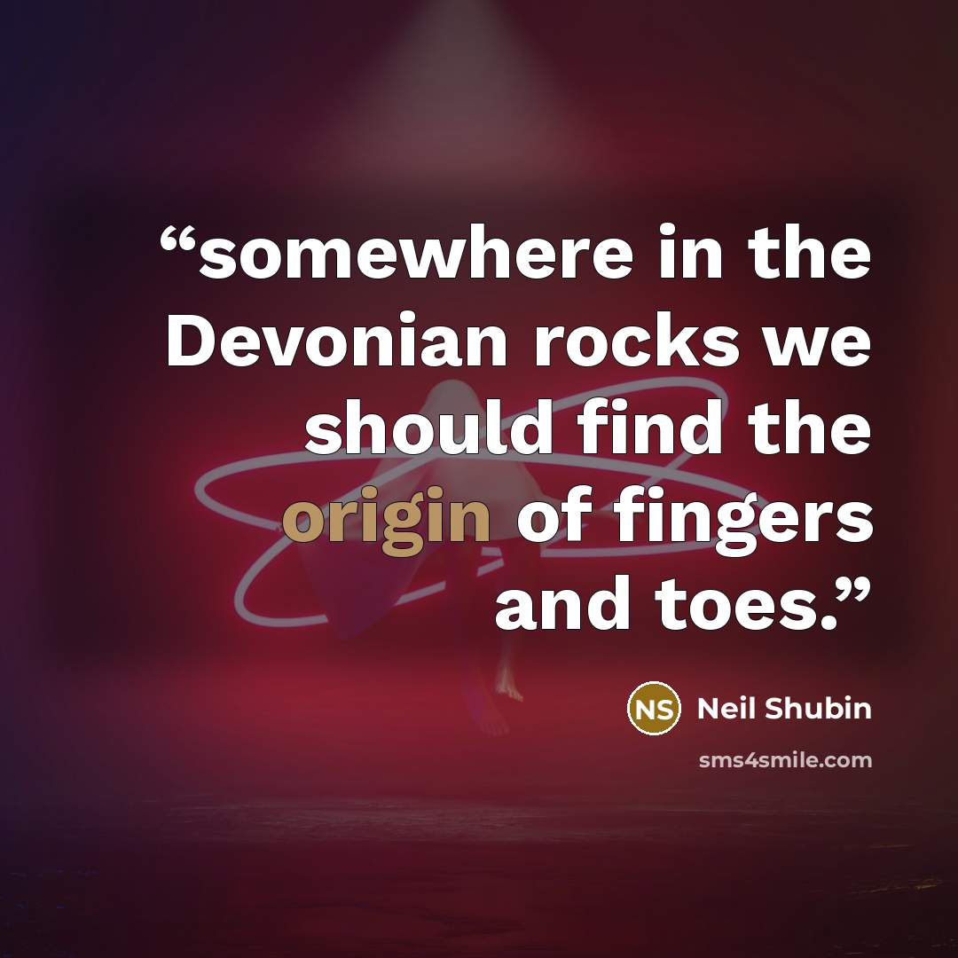 “somewhere in the Devonian rocks we should find the origin of fingers and toes.” quote by Neil Shubin