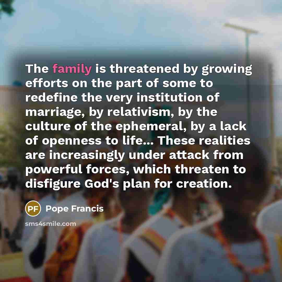 “The family is threatened by growing efforts on the part…” quote by Pope Francis