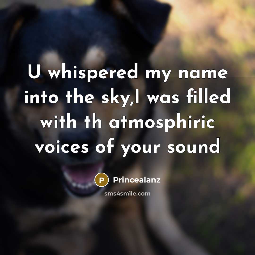 “U whispered my name into the sky,I was filled with…” quote by Princealanz