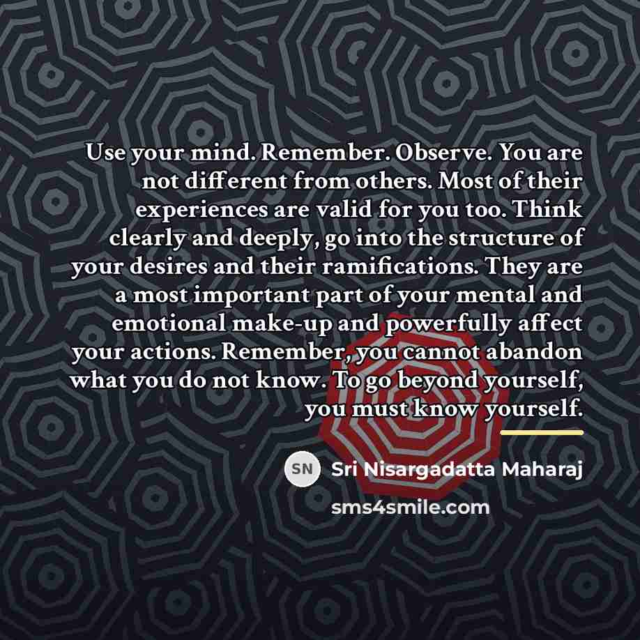 “Use your mind. Remember. Observe. You are not different from…” quote by Sri Nisargadatta Maharaj