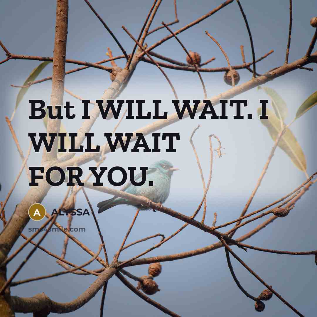 “But I WILL WAIT. I WILL WAIT FOR YOU.…” quote by ALYSSA