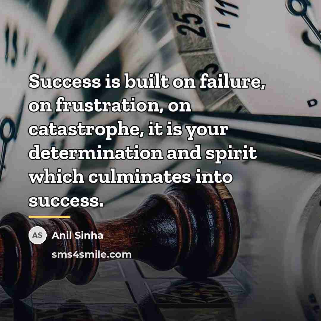 “Success is built on failure, on frustration, on catastrophe, it…” quote by Anil Sinha