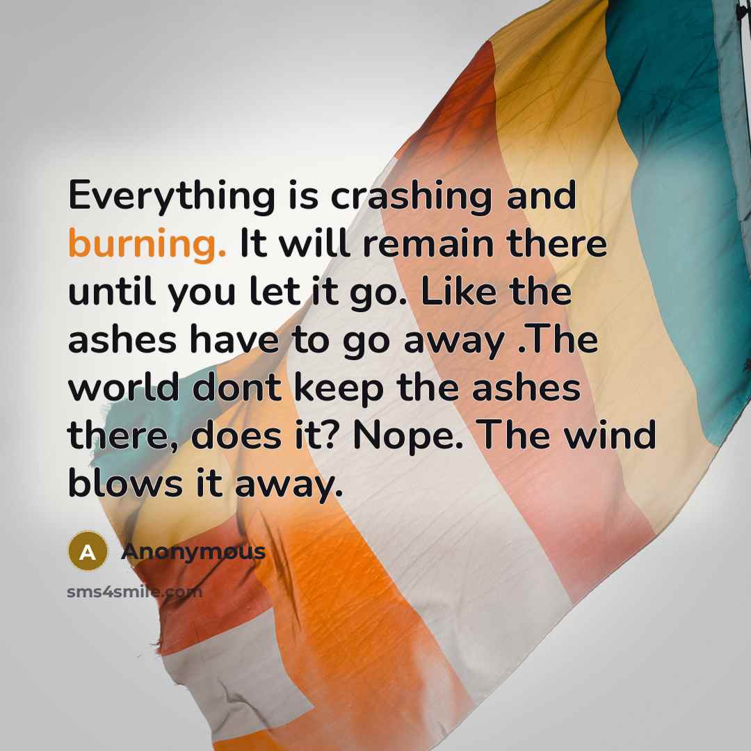 “Everything is crashing and burning. It will remain there until you let it go. Like the ashes have to go away .The world dont keep the ashes there, does it? Nope. The wind blows it away.” quote by Anonymous