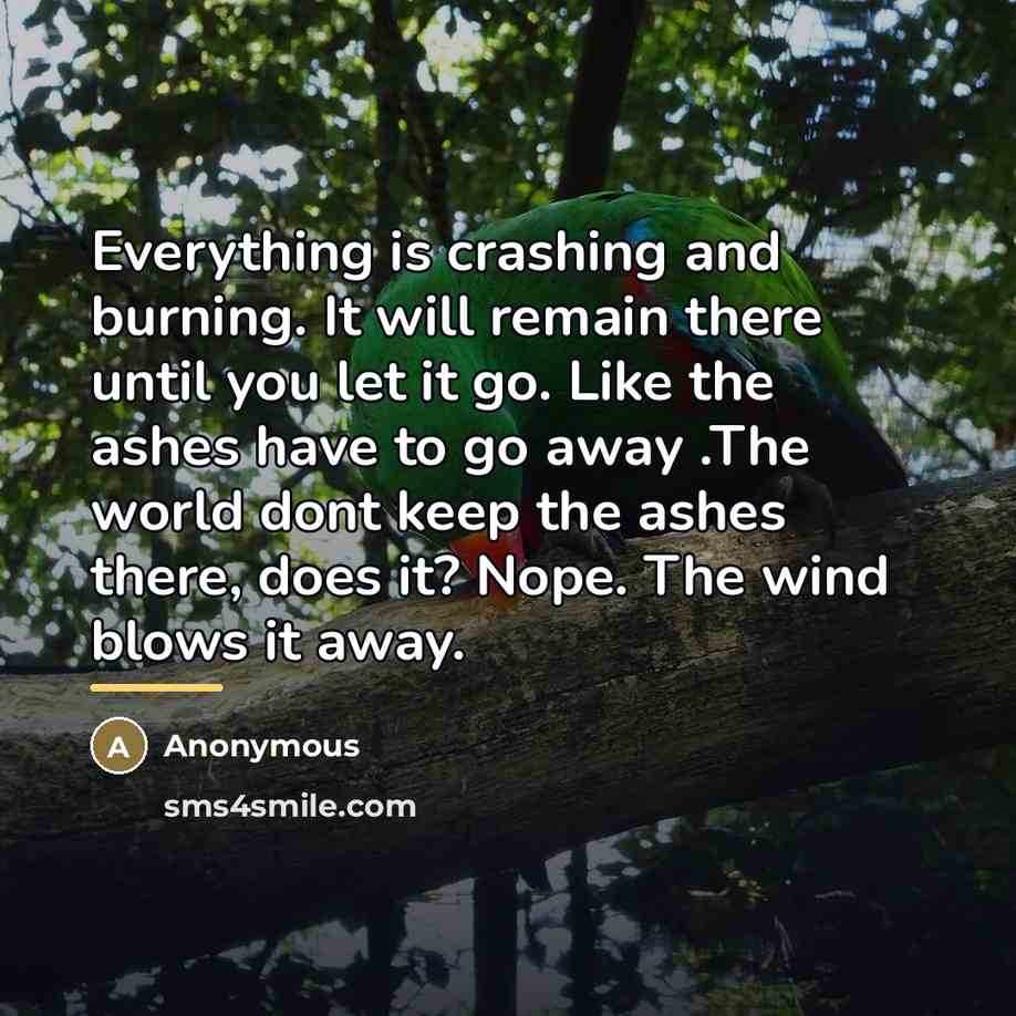 “Everything is crashing and burning. It will remain there until…” quote by Anonymous