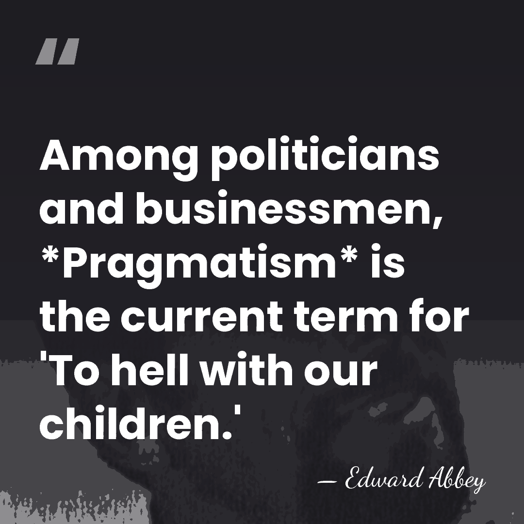Among politicians and businessmen, *Pragmatism* is the current term for 'To hell&hellip; - Edward Abbey