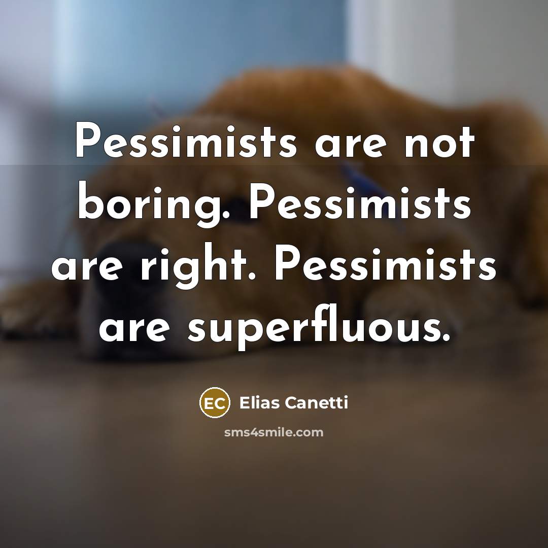“Pessimists are not boring. Pessimists are right. Pessimists are superfluous.…” quote by Elias Canetti