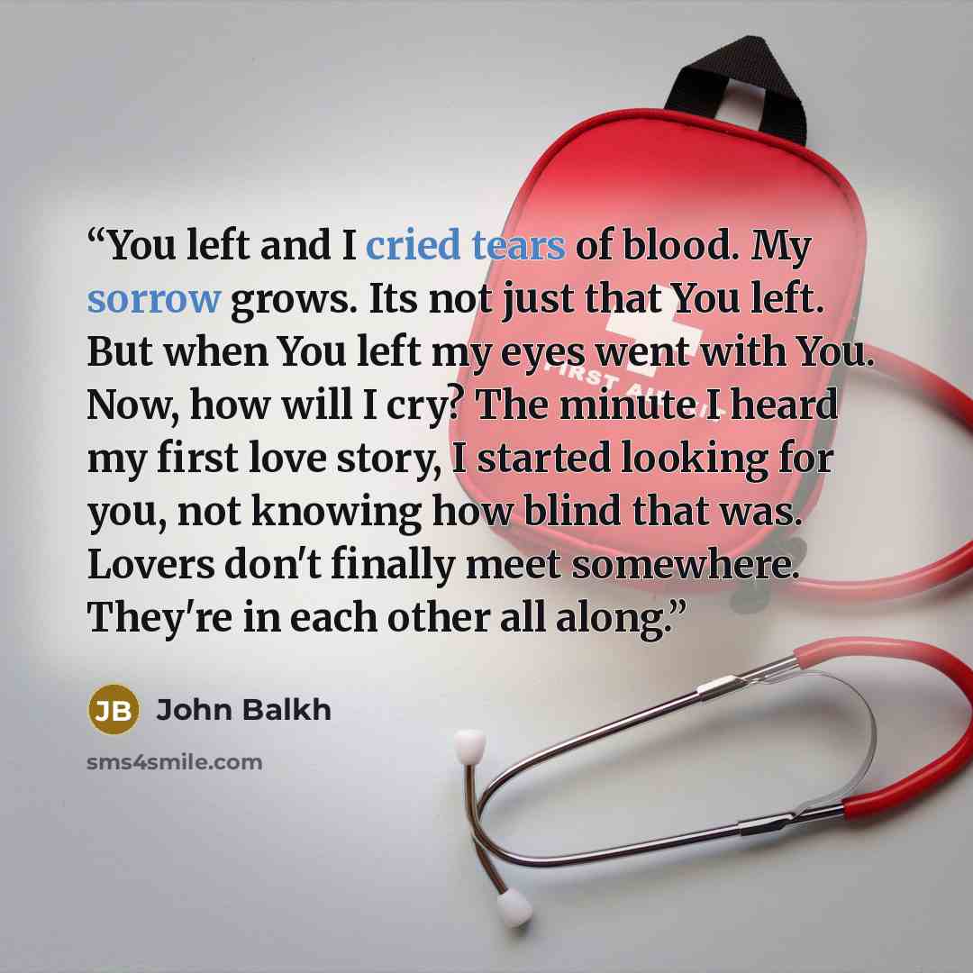 “You left and I cried tears of blood. My sorrow grows. Its not just that You left. But when You left my eyes went with You. Now, how will I cry? The minute I heard my first love story, I started looking for you, not knowing how blind that was. Lovers don't finally meet somewhere. They're in each…” quote by John Balkh
