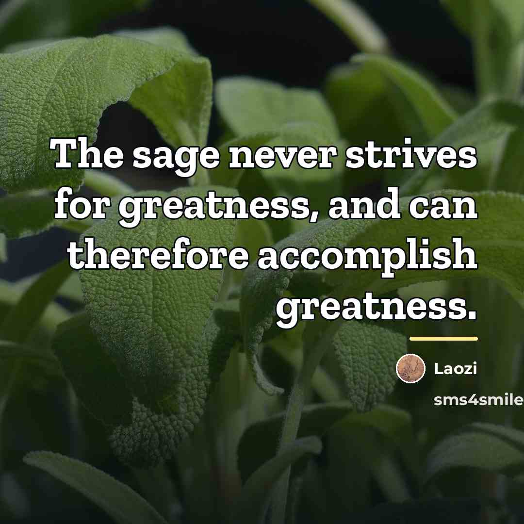 “The sage never strives for greatness, and can therefore accomplish…” quote by Laozi