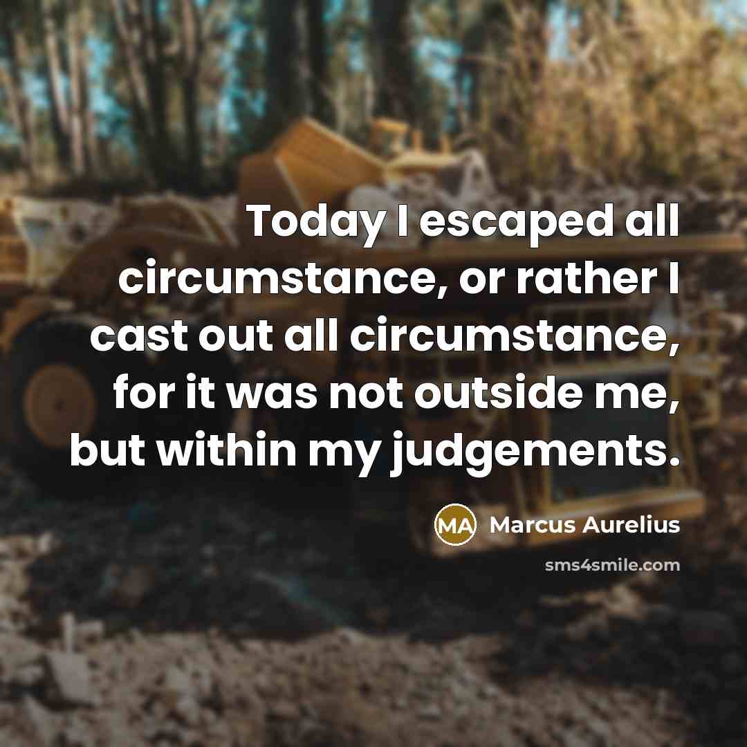 “Today I escaped all circumstance, or rather I cast out…” quote by Marcus Aurelius