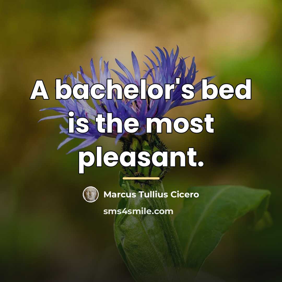 “A bachelor's bed is the most pleasant.…” quote by Marcus Tullius Cicero
