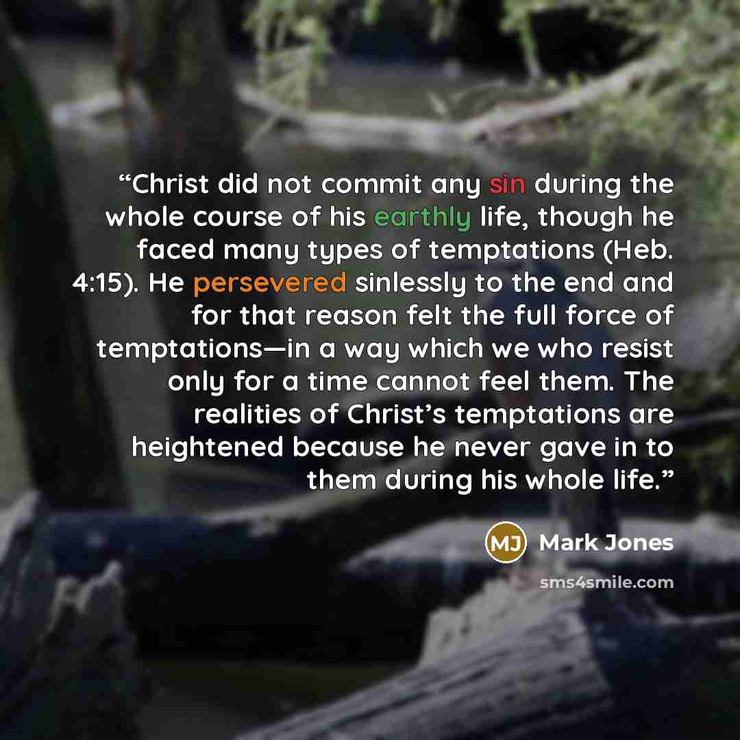 “Christ did not commit any sin during the whole course of his earthly life, though he faced many types of temptations (Heb. 4:15). He persevered sinlessly to the end and for that reason felt the full force of temptations—in a way which we who resist only for a time cannot feel them. The realities…” quote by Mark Jones