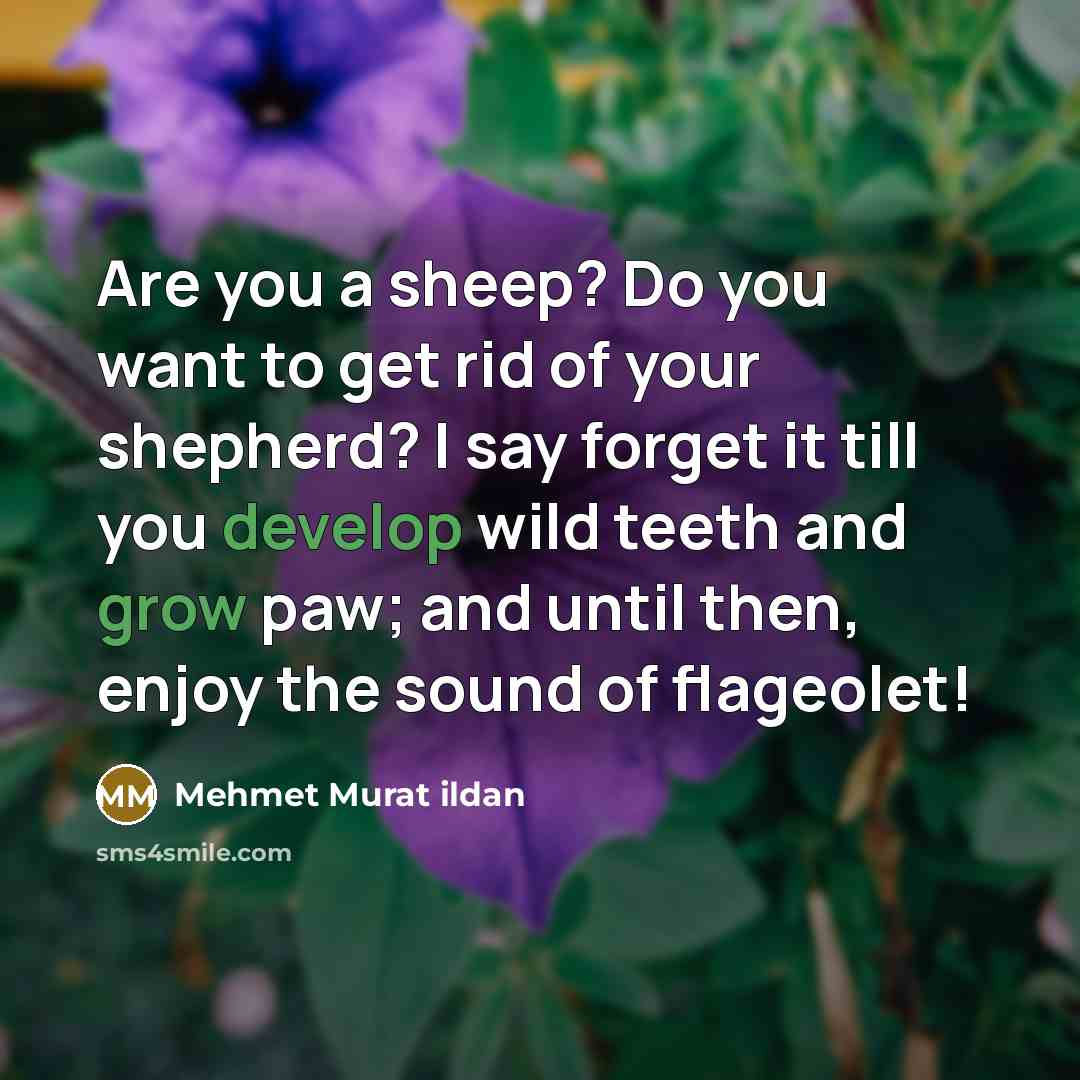 “Are you a sheep? Do you want to get rid…” quote by Mehmet Murat Ildan