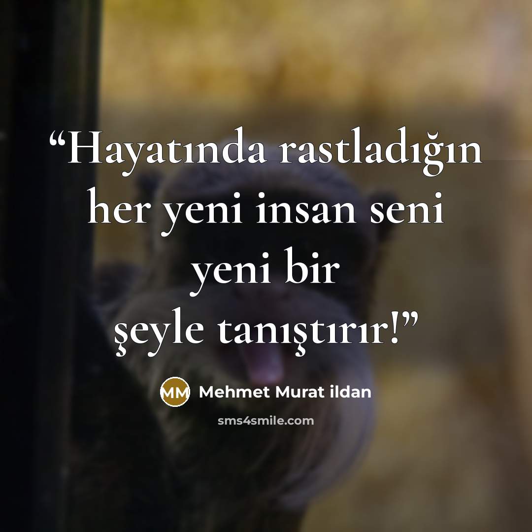 “Hayatında rastladığın her yeni insan seni yeni bir şeyle tanıştırır!” quote by Mehmet Murat ildan