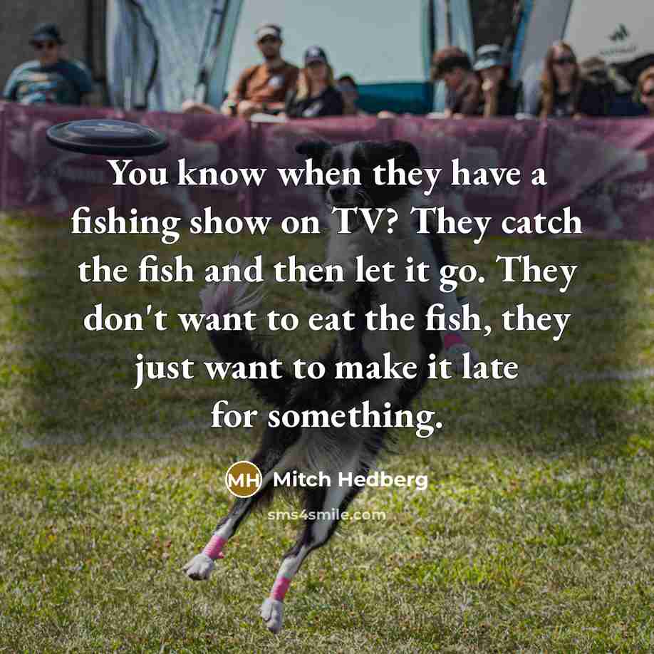 “You know when they have a fishing show on TV?…” quote by Mitch Hedberg