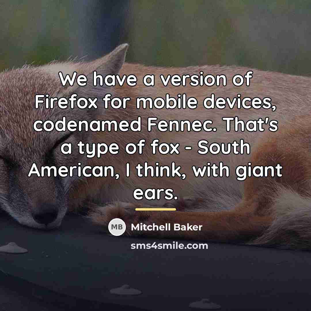 “We have a version of Firefox for mobile devices, codenamed…” quote by Mitchell Baker