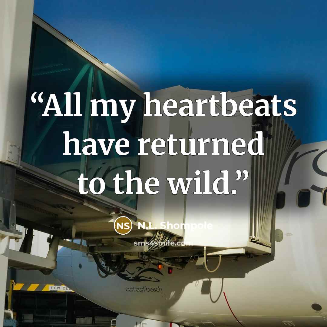 “All my heartbeats have returned to the wild.” quote by N.L. Shompole