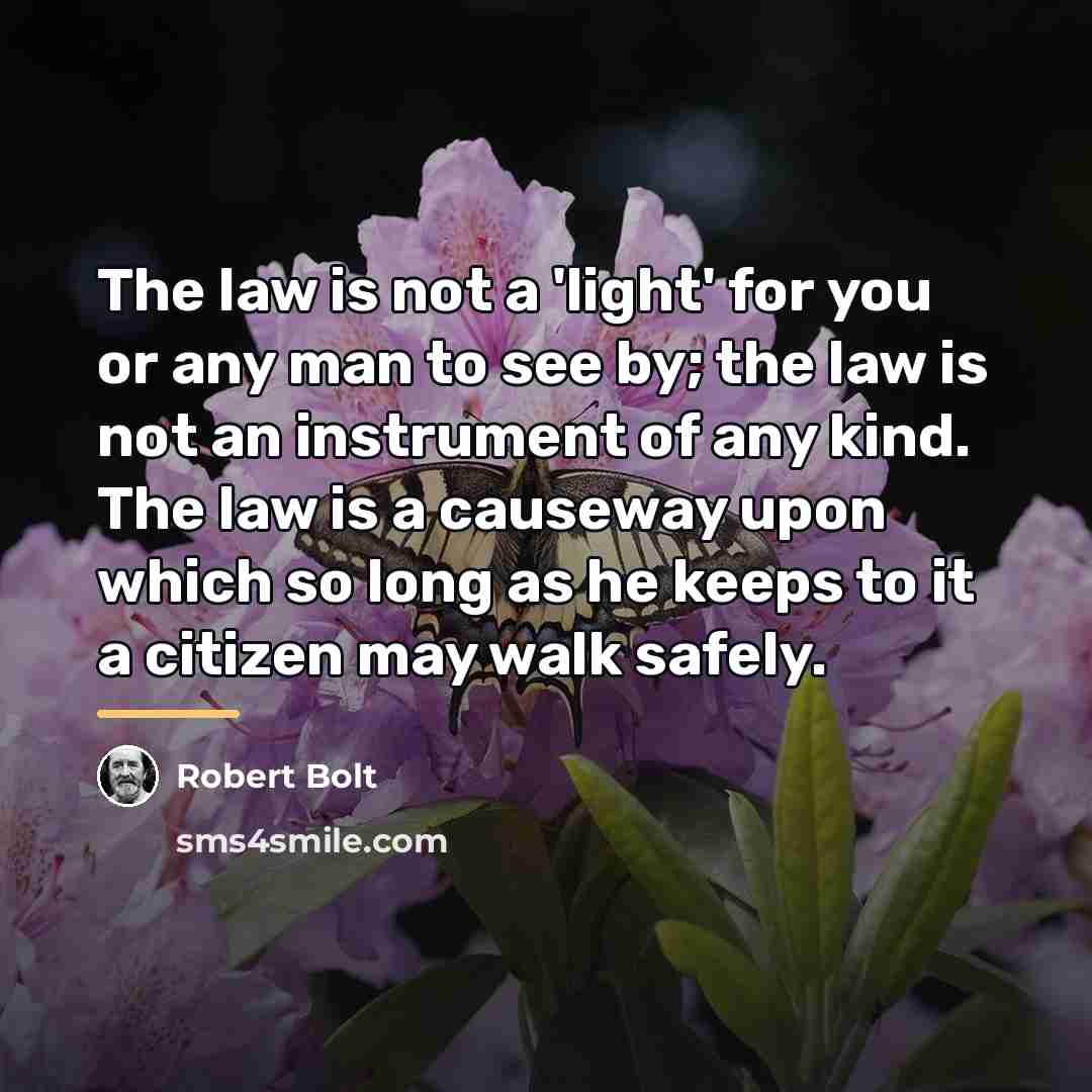 “The law is not a 'light' for you or any…” quote by Robert Bolt