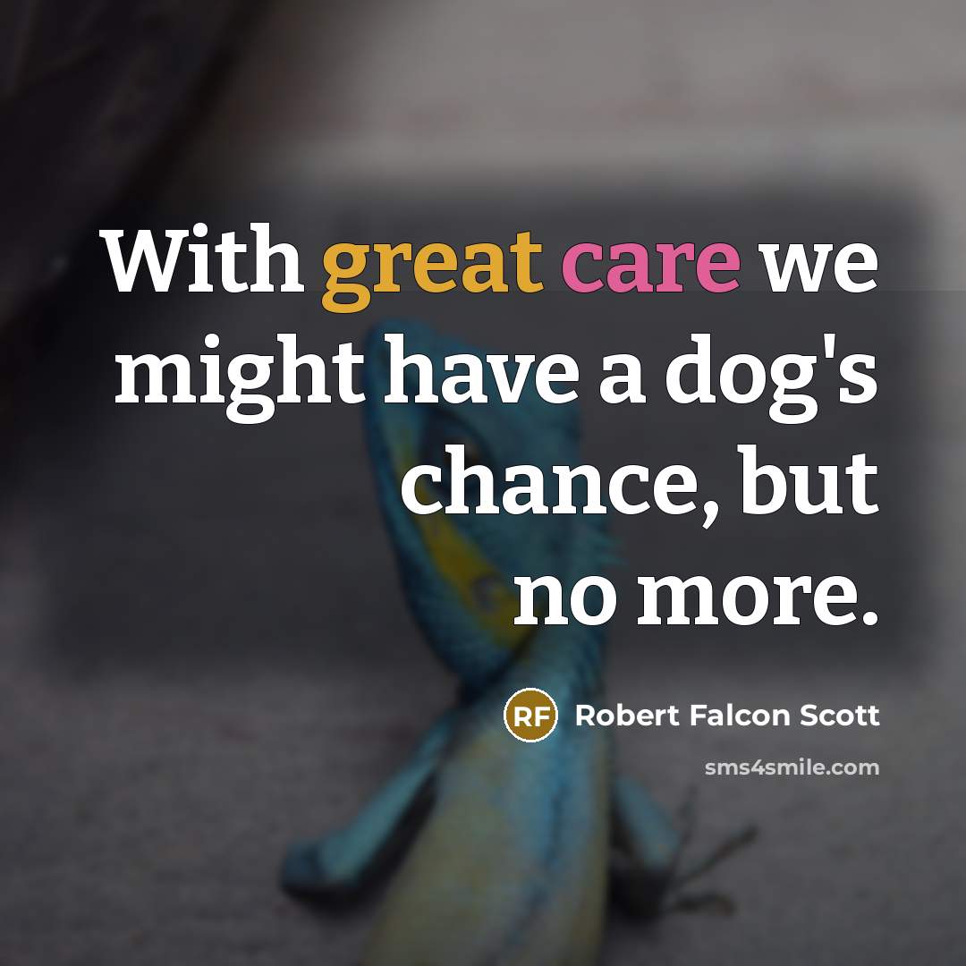 “With great care we might have a dog's chance, but no more.” quote by Robert Falcon Scott