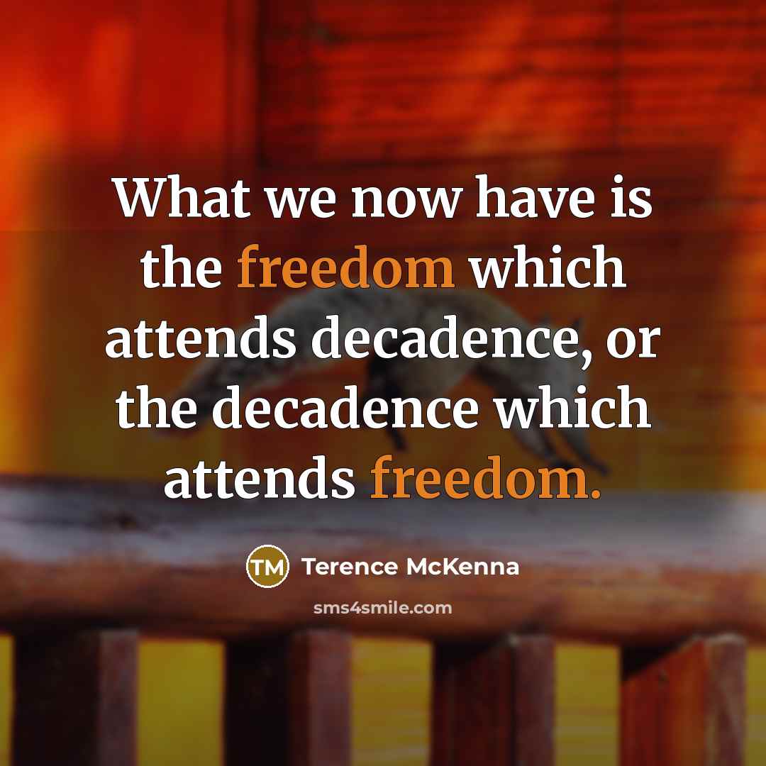 “What we now have is the freedom which attends decadence,…” quote by Terence McKenna