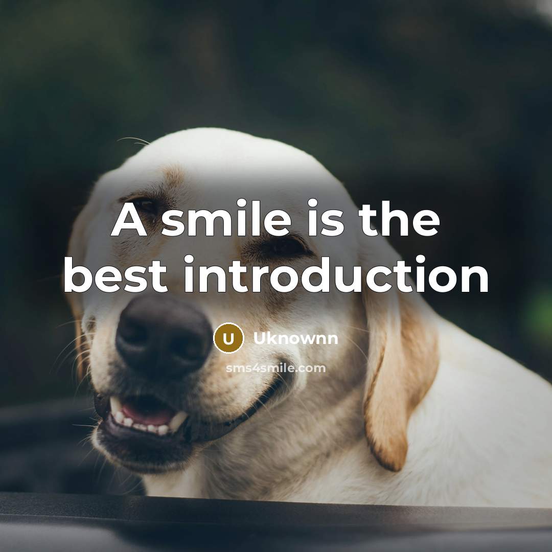 “A smile is the best introduction…” quote by Uknownn