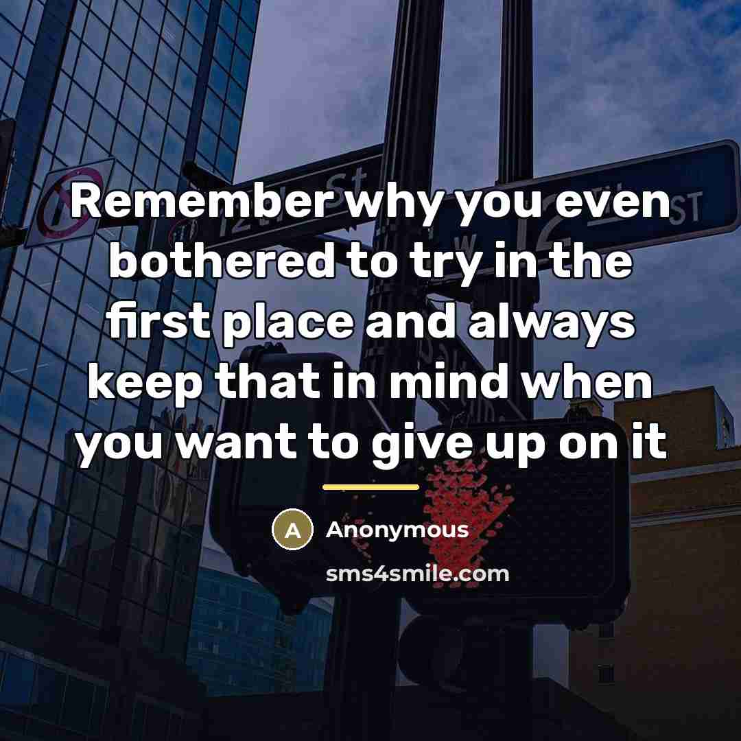 “Remember why you even bothered to try in the first…” quote by Anonymous