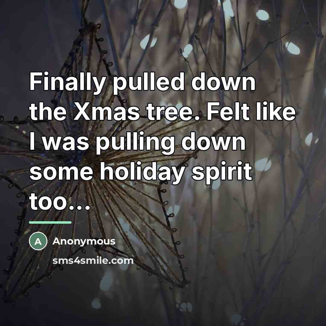 “Finally pulled down the Xmas tree. Felt like I was…” quote by Anonymous