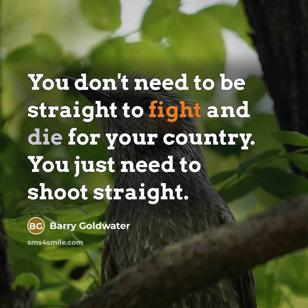 “You don't need to be straight to fight and die…” quote by Barry Goldwater
