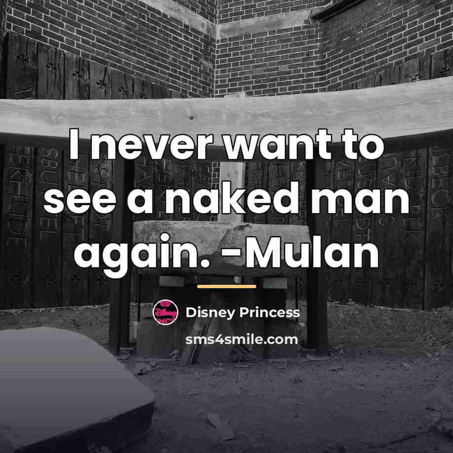 “I never want to see a naked man again. -Mulan…” quote by Disney Princess
