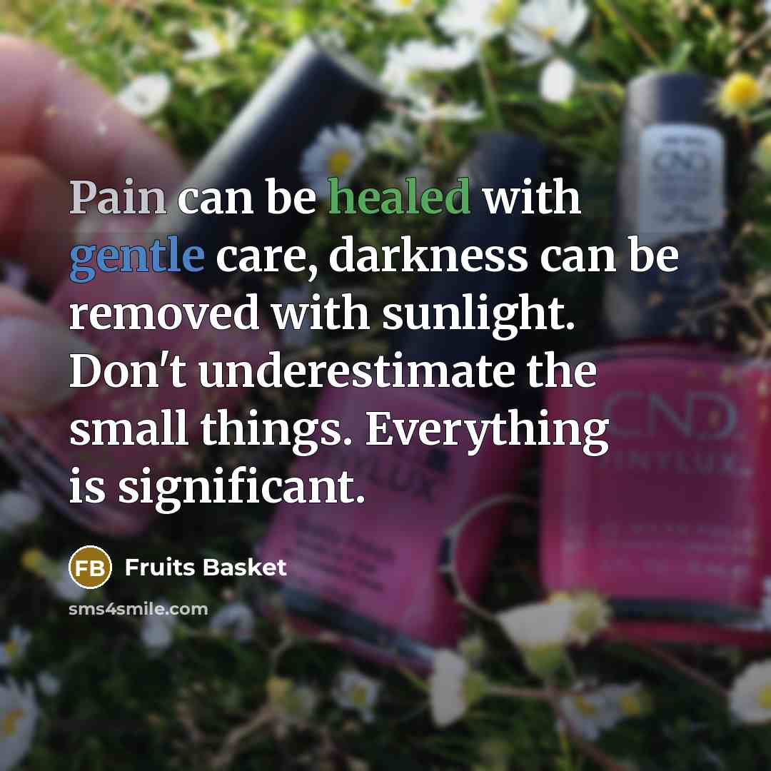 “Pain can be healed with gentle care, darkness can be…” quote by Fruits Basket
