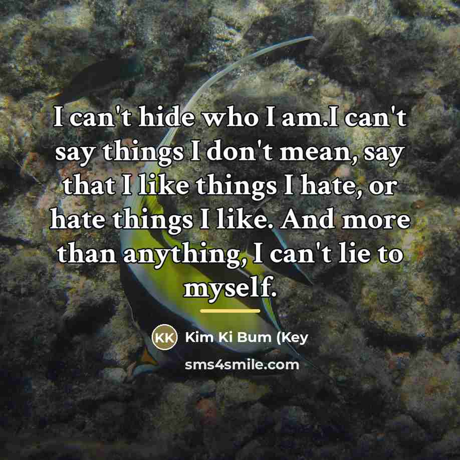“I can't hide who I am.I can't say things I…” quote by Anonymous