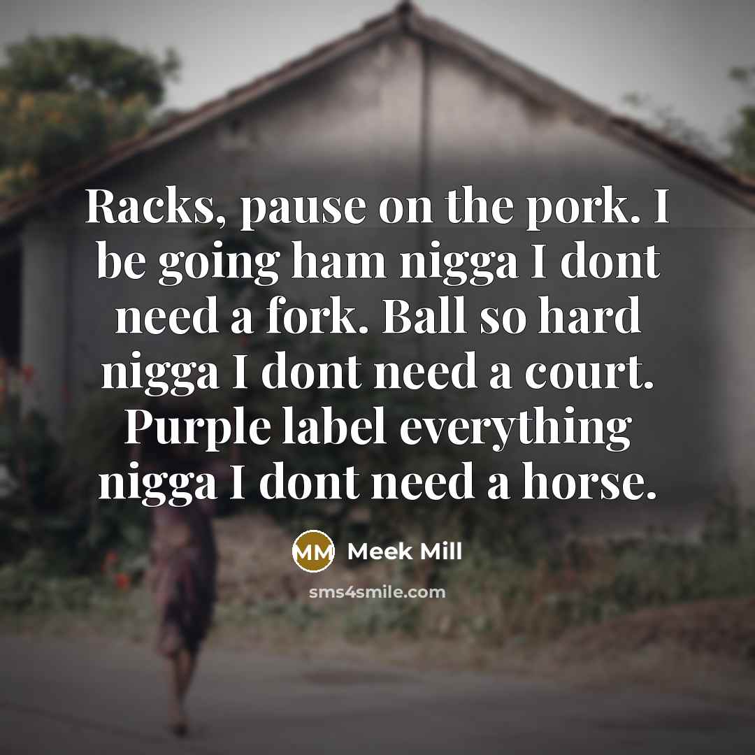 “Racks, pause on the pork. I be going ham nigga I dont need a fork. Ball so hard nigga I dont need a court. Purple label everything nigga I dont need a horse.” quote by Meek Mill