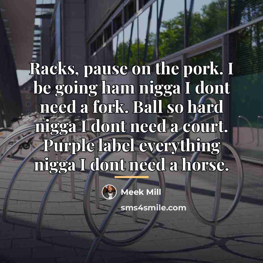 “Racks, pause on the pork. I be going ham nigga…” quote by Meek Mill