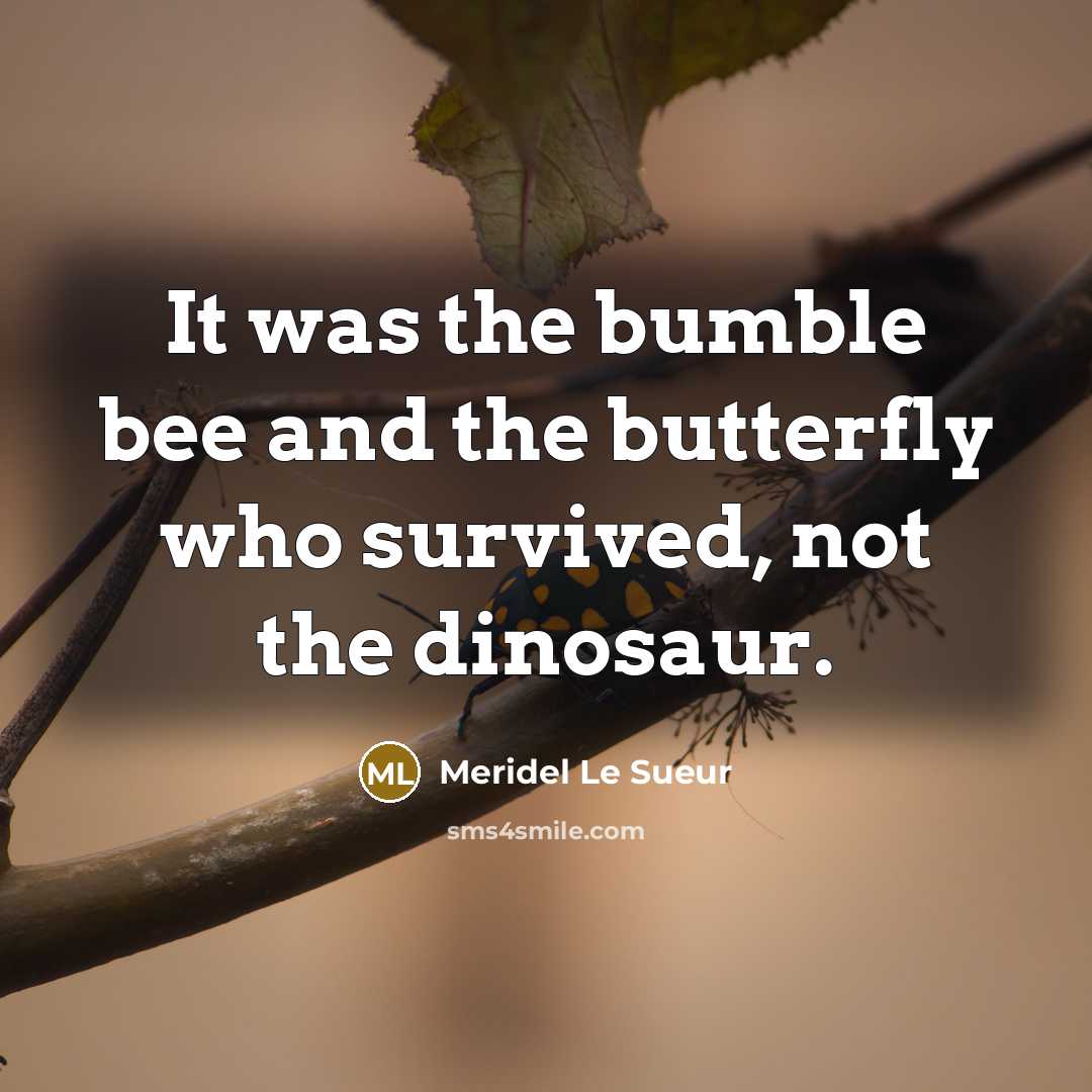 “It was the bumble bee and the butterfly who survived,…” quote by Meridel Le Sueur