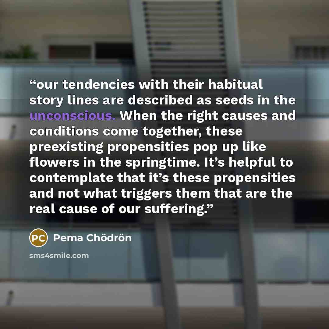 “our tendencies with their habitual story lines are described as seeds in the unconscious. When the right causes and conditions come together, these preexisting propensities pop up like flowers in the springtime. It’s helpful to contemplate that it’s these propensities and not what triggers them…” quote by Pema Chödrön