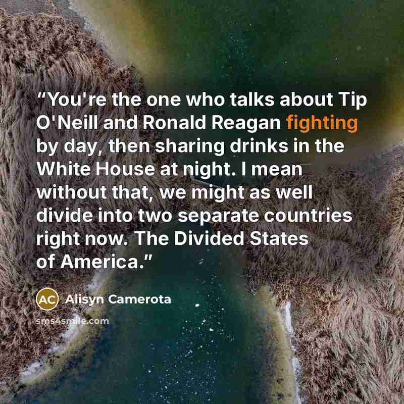 “You're the one who talks about Tip O'Neill and Ronald Reagan fighting by day, then sharing drinks in the White House at night. I mean without that, we might as well divide into two separate countries right now. The Divided States of America.” quote by Alisyn Camerota