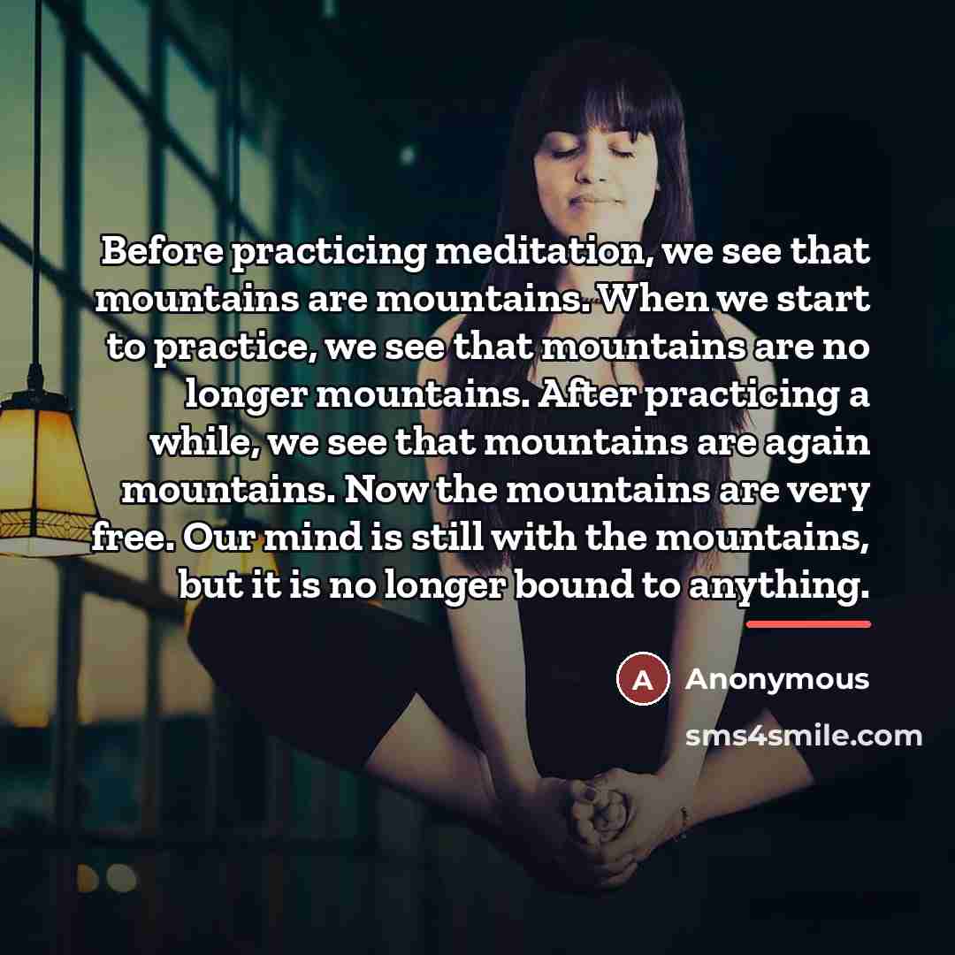 “Before practicing meditation, we see that mountains are mountains. When…” quote by Anonymous