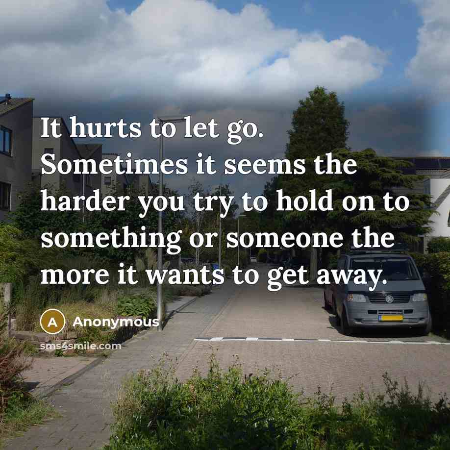 “It hurts to let go. Sometimes it seems the harder you try to hold on to something or someone the more it wants to get away.” quote by Anonymous