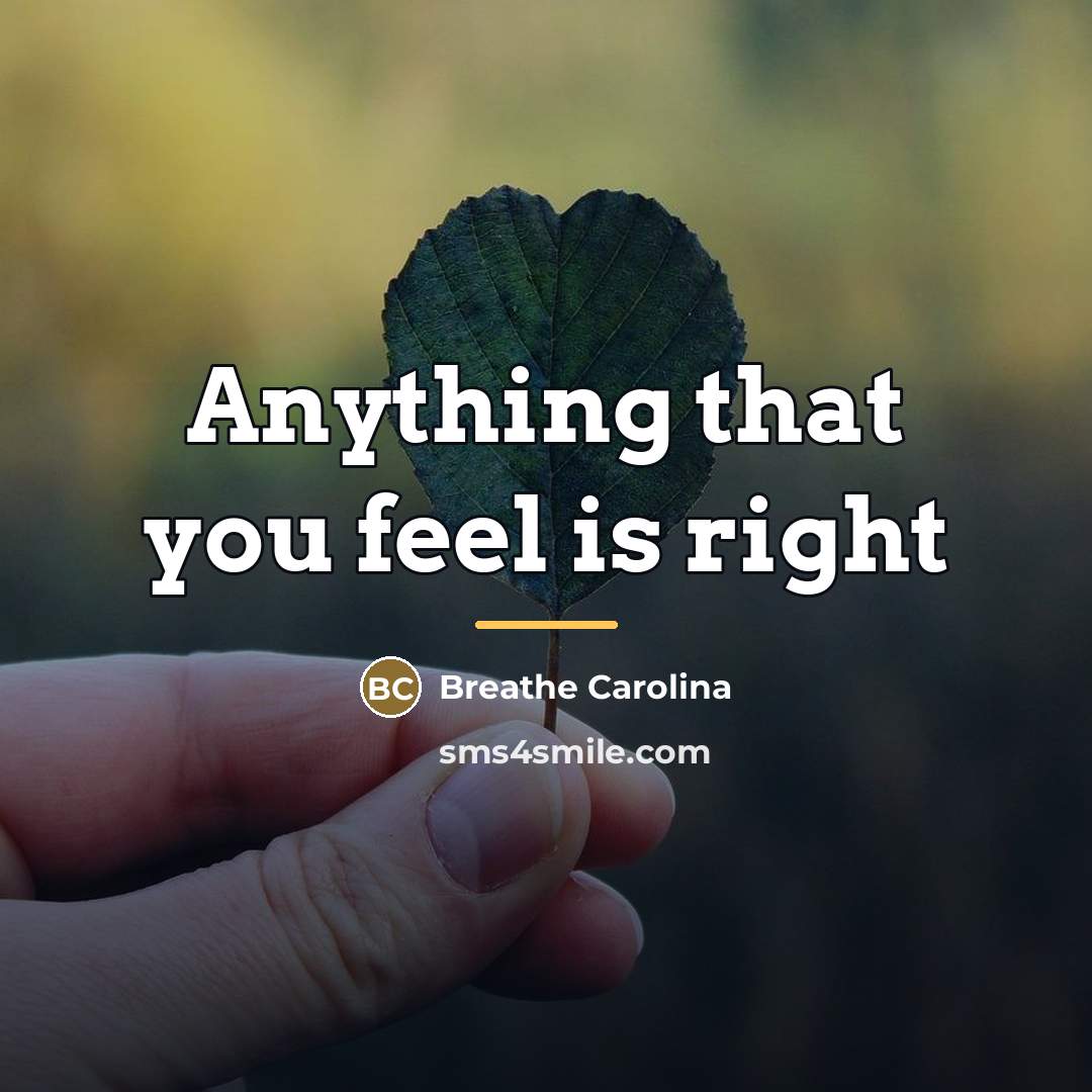“Anything that you feel is right…” quote by Breathe Carolina