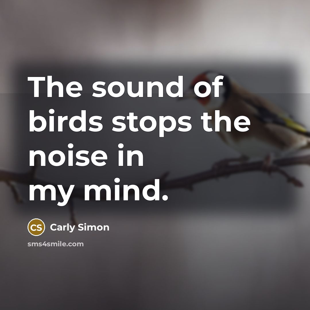 “The sound of birds stops the noise in my mind.…” quote by Carly Simon