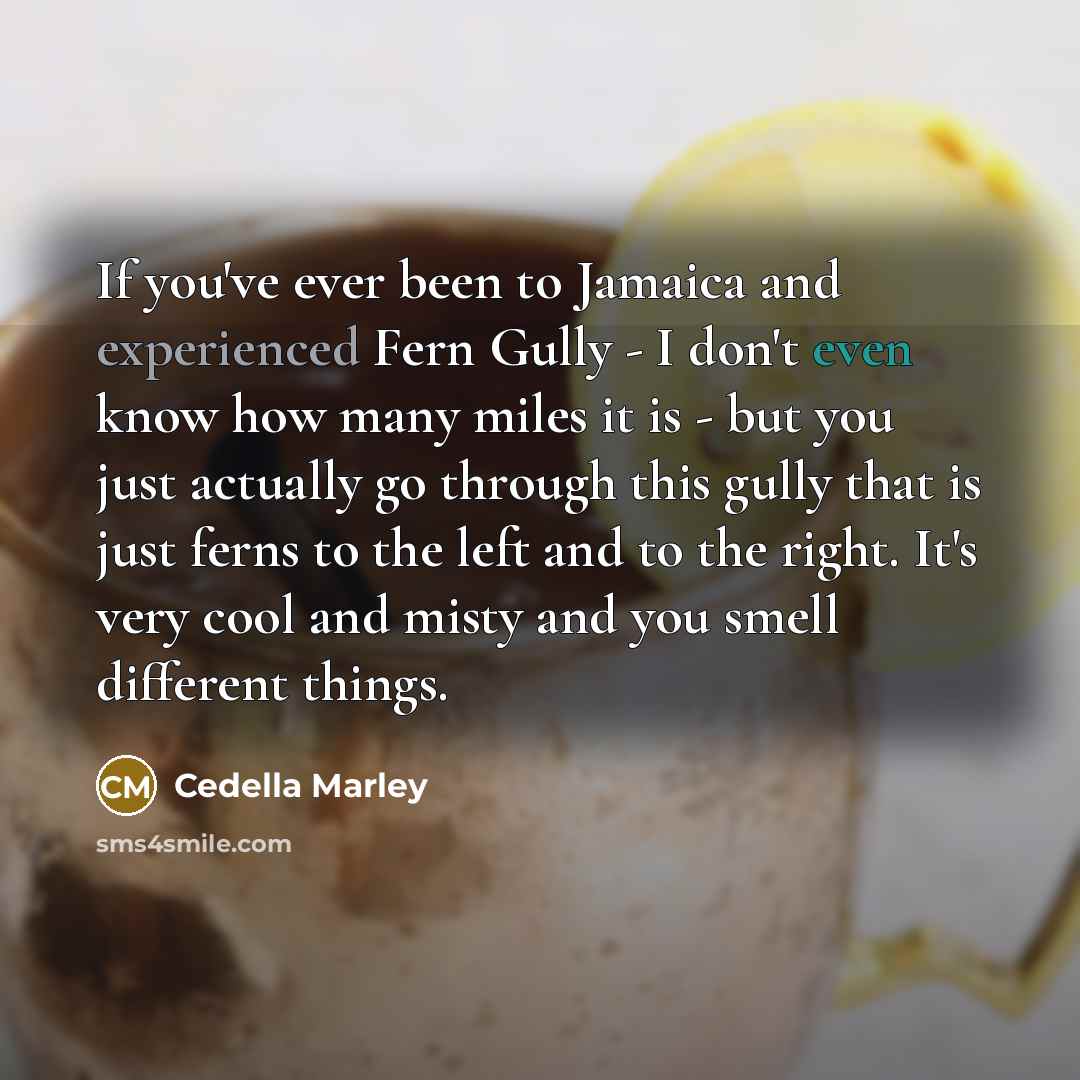 “If you've ever been to Jamaica and experienced Fern Gully…” quote by Cedella Marley