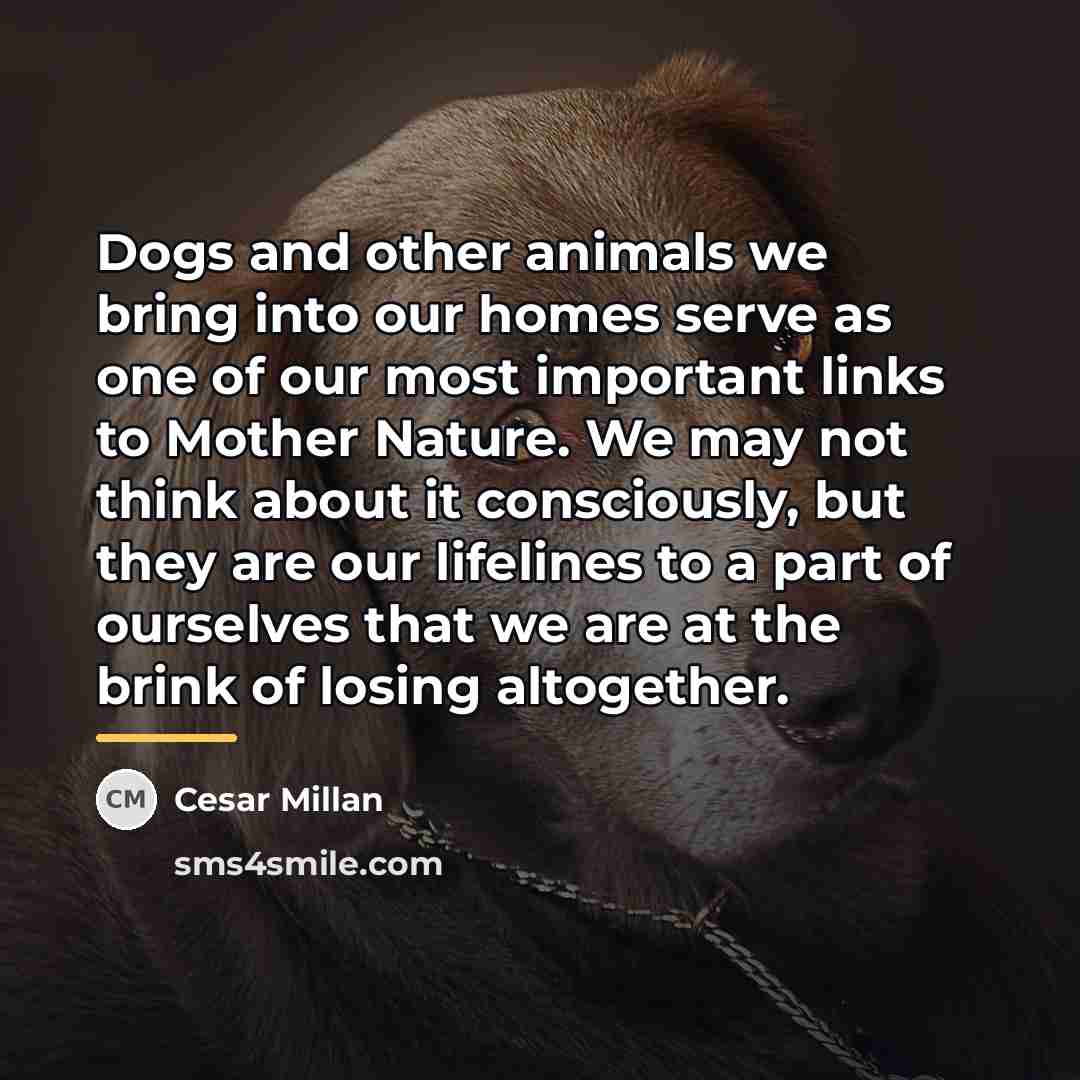 “Dogs and other animals we bring into our homes serve…” quote by Cesar Millan