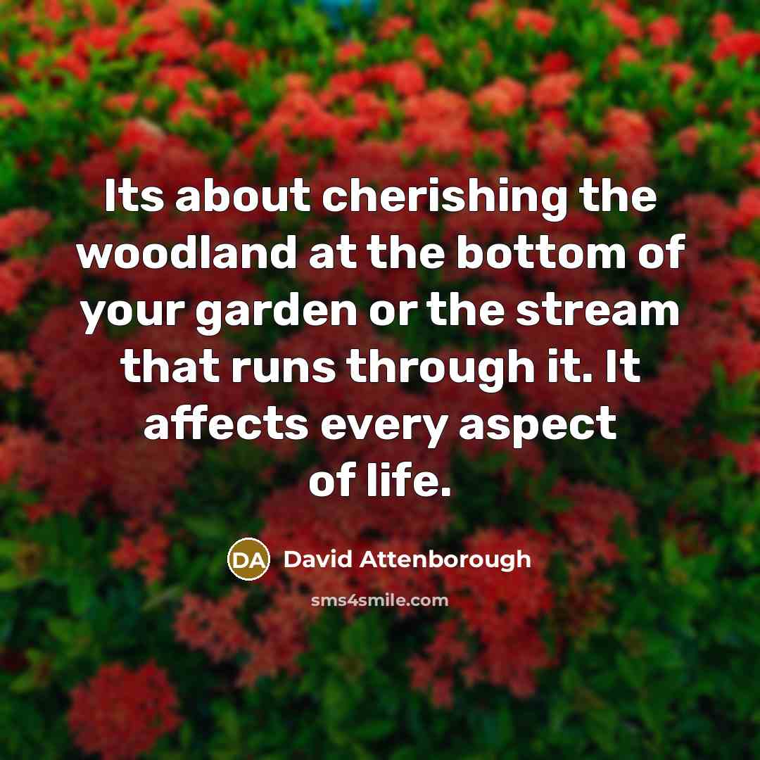 “Its about cherishing the woodland at the bottom of your…” quote by David Attenborough