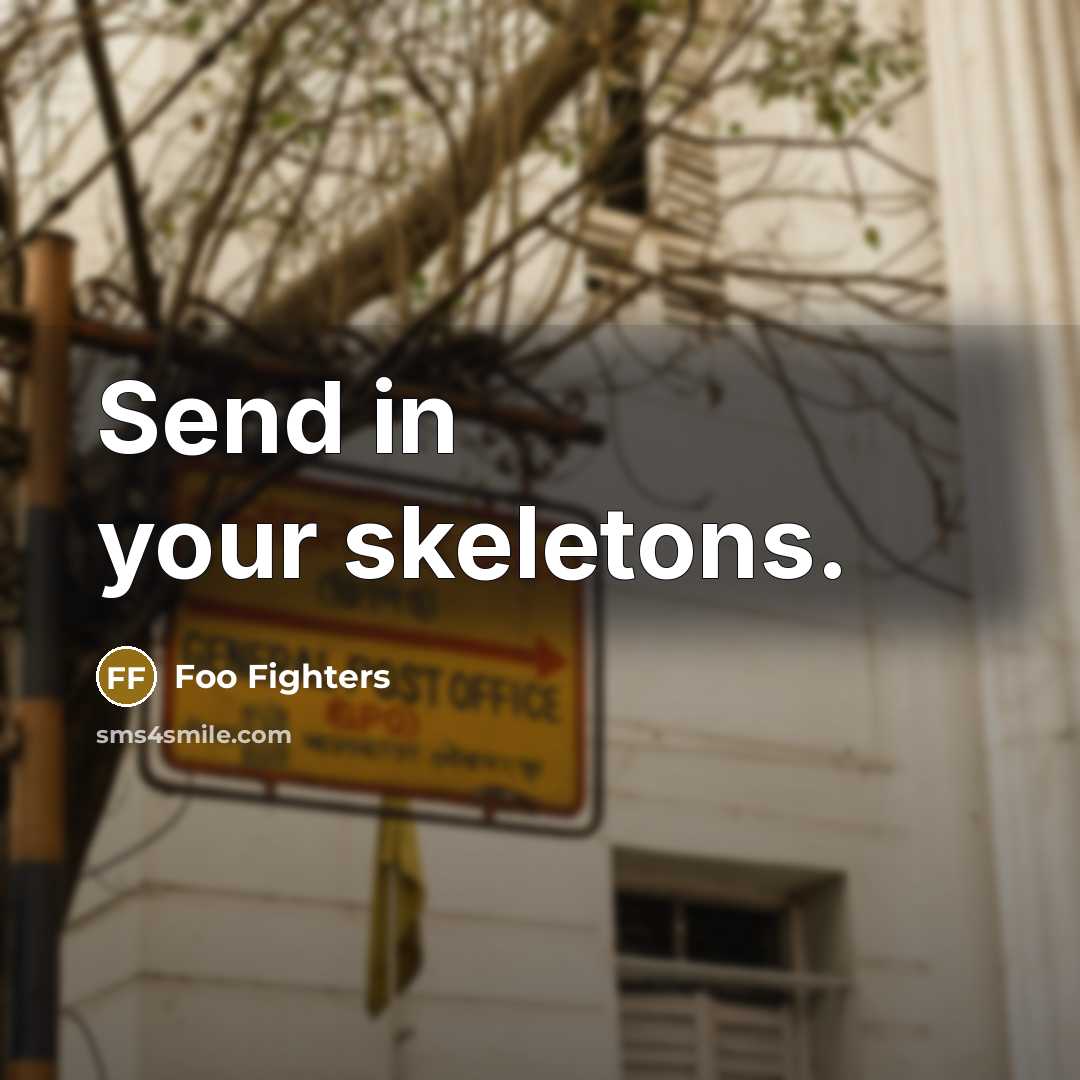 “Send in your skeletons.…” quote by Foo Fighters