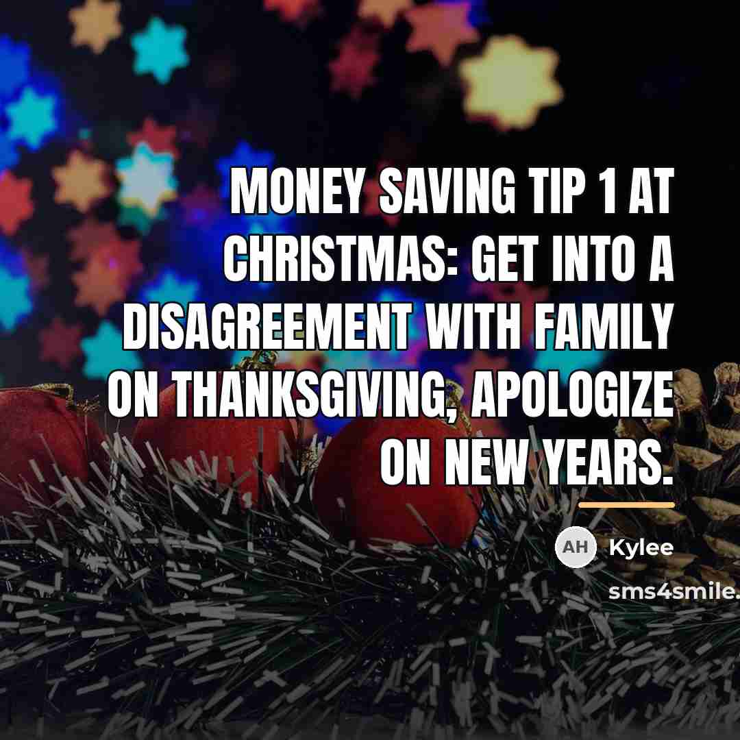 “Money saving tip 1 at Christmas: Get into a disagreement…” quote by Kylee
