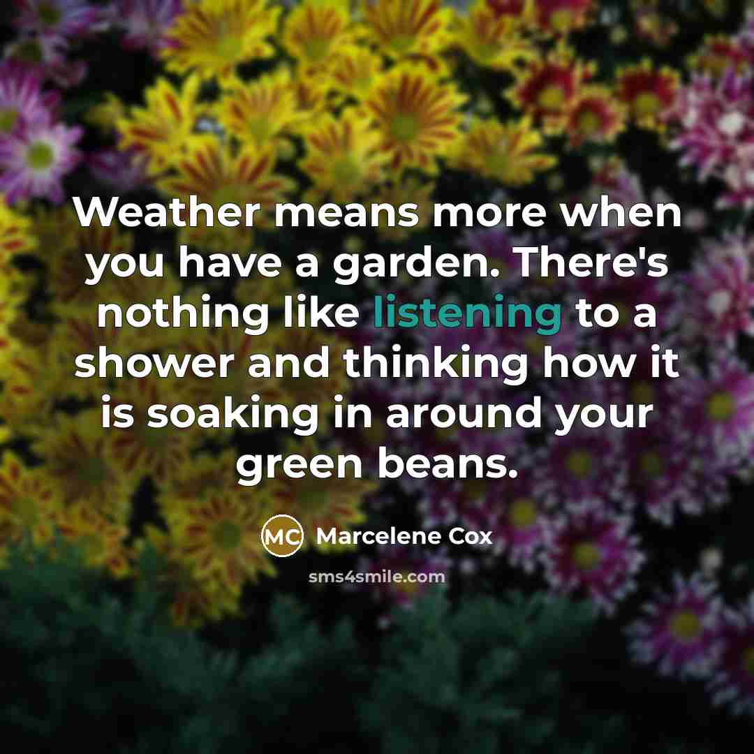 “Weather means more when you have a garden. There's nothing…” quote by Marcelene Cox