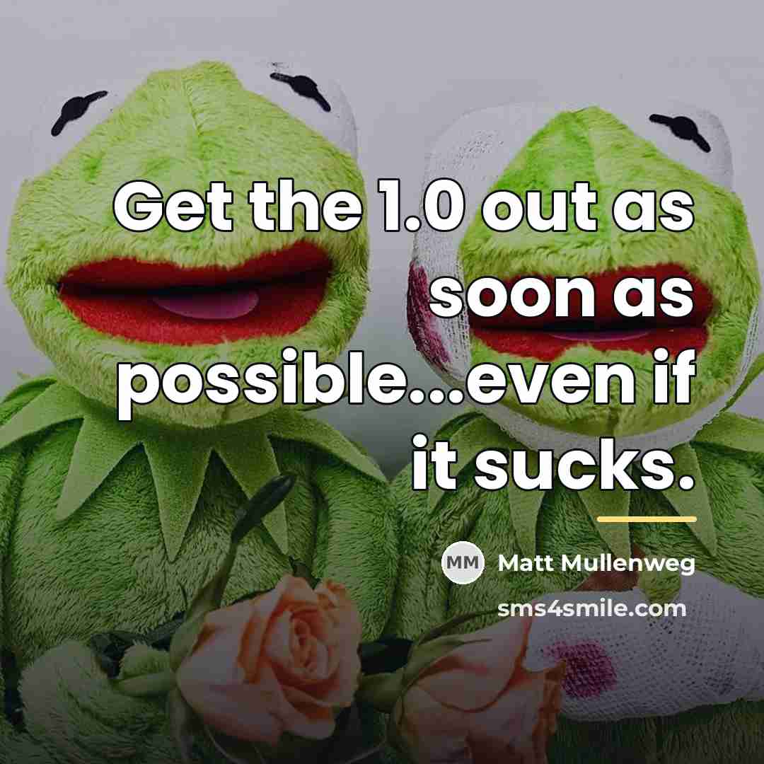 “Get the 1.0 out as soon as possible...even if it…” quote by Matt Mullenweg