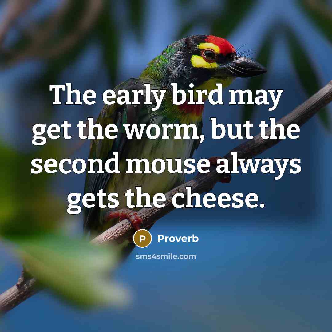 “The early bird may get the worm, but the second…” quote by Proverb