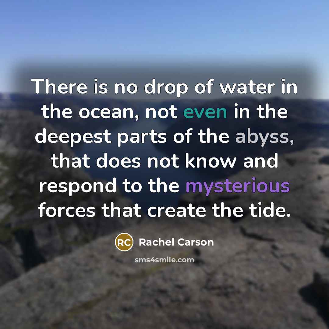 “There is no drop of water in the ocean, not…” quote by Rachel Carson