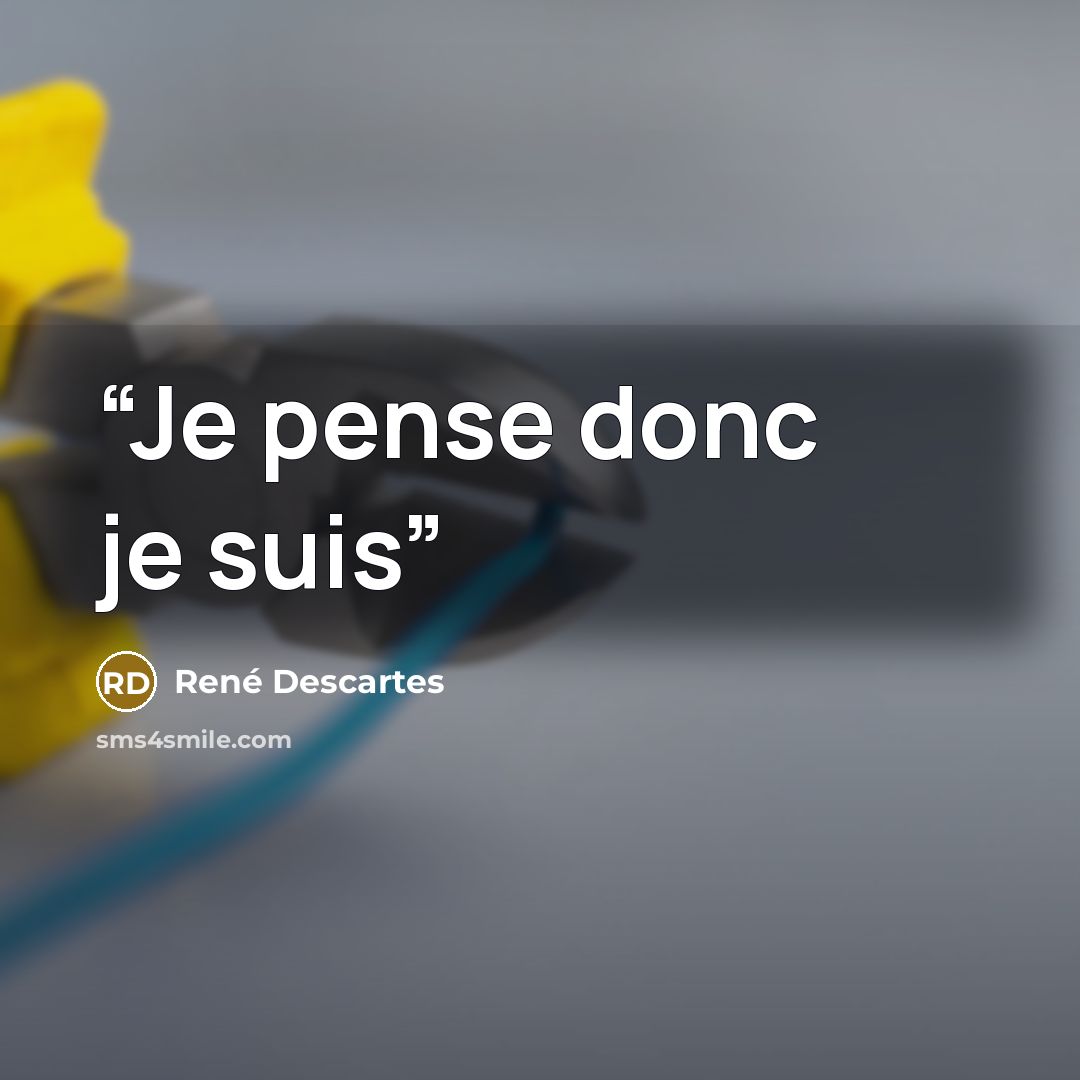 “Je pense donc je suis” quote by René Descartes